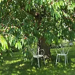 Exklusive - Direkt Am Waldrand - Grosser Garten Kompett Umzaeunt - Hunde Willkommen - 2 Private Stellplaetze * Bad Salzschlirf