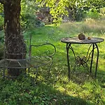 Exklusive - Direkt Am Waldrand - Grosser Garten Kompett Umzaeunt - Hunde Willkommen - 2 Private Stellplaetze Lejlighed *