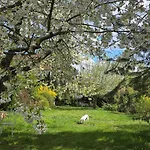 Exklusive - Direkt Am Waldrand - Grosser Garten Kompett Umzaeunt - Hunde Willkommen - 2 Private Stellplaetze Bad Salzschlirf