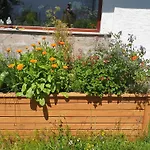 Exklusive - Direkt Am Waldrand - Grosser Garten Kompett Umzaeunt - Hunde Willkommen - 2 Private Stellplaetze Bad Salzschlirf