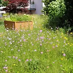 Exklusive - Direkt Am Waldrand - Grosser Garten Kompett Umzaeunt - Hunde Willkommen - 2 Private Stellplaetze Lejlighed Bad Salzschlirf