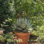 Exklusive - Direkt Am Waldrand - Grosser Garten Kompett Umzaeunt - Hunde Willkommen - 2 Private Stellplaetze Lejlighed