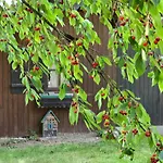 Lejlighed Exklusive - Direkt Am Waldrand - Grosser Garten Kompett Umzaeunt - Hunde Willkommen - 2 Private Stellplaetze Bad Salzschlirf