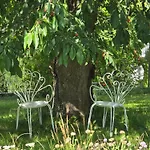 Exklusive - Direkt Am Waldrand - Grosser Garten Kompett Umzaeunt - Hunde Willkommen - 2 Private Stellplaetze * Bad Salzschlirf