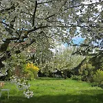 Lejlighed Exklusive - Direkt Am Waldrand - Grosser Garten Kompett Umzaeunt - Hunde Willkommen - 2 Private Stellplaetze Bad Salzschlirf