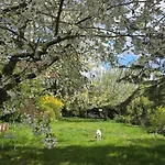 Exklusive - Direkt Am Waldrand - Grosser Garten Kompett Umzaeunt - Hunde Willkommen - 2 Private Stellplaetze * Bad Salzschlirf