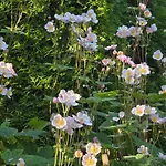 Exklusive - Direkt Am Waldrand - Grosser Garten Kompett Umzaeunt - Hunde Willkommen - 2 Private Stellplaetze * Bad Salzschlirf