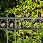 Lejlighed Exklusive - Direkt Am Waldrand - Grosser Garten Kompett Umzaeunt - Hunde Willkommen - 2 Private Stellplaetze *