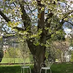 Lejlighed Exklusive - Direkt Am Waldrand - Grosser Garten Kompett Umzaeunt - Hunde Willkommen - 2 Private Stellplaetze