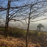 Lejlighed Exklusive - Direkt Am Waldrand - Grosser Garten Kompett Umzaeunt - Hunde Willkommen - 2 Private Stellplaetze