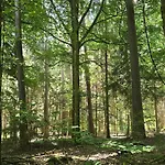 Lejlighed Exklusive - Direkt Am Waldrand - Grosser Garten Kompett Umzaeunt - Hunde Willkommen - 2 Private Stellplaetze *