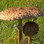 Exklusive - Direkt Am Waldrand - Grosser Garten Kompett Umzaeunt - Hunde Willkommen - 2 Private Stellplaetze * Bad Salzschlirf