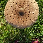 Lejlighed Exklusive - Direkt Am Waldrand - Grosser Garten Kompett Umzaeunt - Hunde Willkommen - 2 Private Stellplaetze Bad Salzschlirf