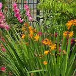 Exklusive - Direkt Am Waldrand - Grosser Garten Kompett Umzaeunt - Hunde Willkommen - 2 Private Stellplaetze Lejlighed Bad Salzschlirf