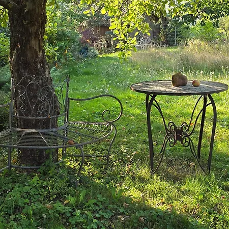 Exklusive - Direkt Am Waldrand - Grosser Garten Kompett Umzaeunt - Hunde Willkommen - 2 Private Stellplaetze Apartment *
