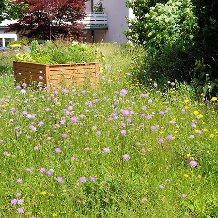 Exklusive - Direkt Am Waldrand - Grosser Garten Kompett Umzaeunt - Hunde Willkommen - 2 Private Stellplaetze Apartment Bad Salzschlirf