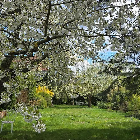 Apartment Exklusive - Direkt Am Waldrand - Grosser Garten Kompett Umzaeunt - Hunde Willkommen - 2 Private Stellplaetze Bad Salzschlirf