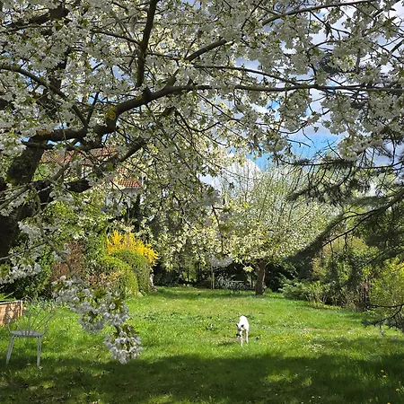 Exklusive - Direkt Am Waldrand - Grosser Garten Kompett Umzaeunt - Hunde Willkommen - 2 Private Stellplaetze * Bad Salzschlirf