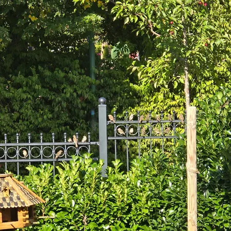 Exklusive - Direkt Am Waldrand - Grosser Garten Kompett Umzaeunt - Hunde Willkommen - 2 Private Stellplaetze Apartment Bad Salzschlirf