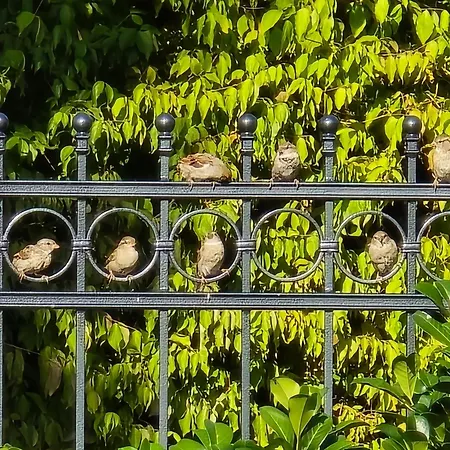 Apartment Exklusive - Direkt Am Waldrand - Grosser Garten Kompett Umzaeunt - Hunde Willkommen - 2 Private Stellplaetze *