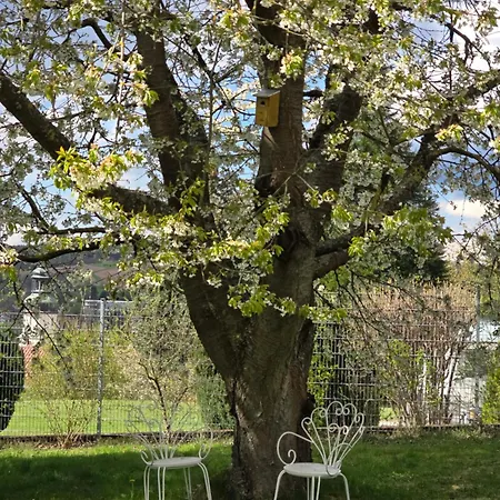 Apartment Exklusive - Direkt Am Waldrand - Grosser Garten Kompett Umzaeunt - Hunde Willkommen - 2 Private Stellplaetze