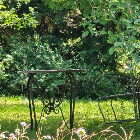 Apartment Exklusive - Direkt Am Waldrand - Grosser Garten Kompett Umzaeunt - Hunde Willkommen - 2 Private Stellplaetze Bad Salzschlirf