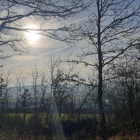 Apartment Exklusive - Direkt Am Waldrand - Grosser Garten Kompett Umzaeunt - Hunde Willkommen - 2 Private Stellplaetze