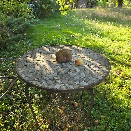 Exklusive - Direkt Am Waldrand - Grosser Garten Kompett Umzaeunt - Hunde Willkommen - 2 Private Stellplaetze Apartment
