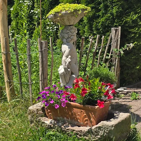 Exklusive - Direkt Am Waldrand - Grosser Garten Kompett Umzaeunt - Hunde Willkommen - 2 Private Stellplaetze Apartment Bad Salzschlirf
