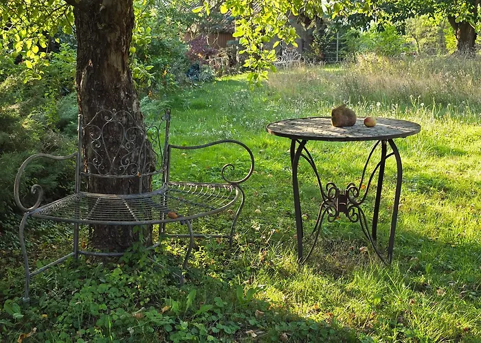 Exklusive - Direkt Am Waldrand - Grosser Garten Kompett Umzaeunt - Hunde Willkommen - 2 Private Stellplaetze Apartment *