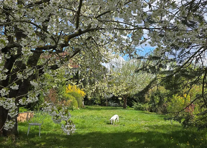 Exklusive - Direkt Am Waldrand - Grosser Garten Kompett Umzaeunt - Hunde Willkommen - 2 Private Stellplaetze Bad Salzschlirf