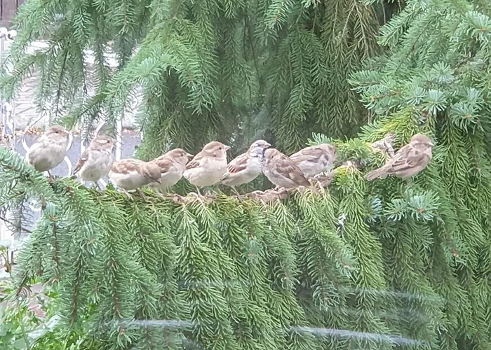 Apartment Exklusive - Direkt Am Waldrand - Grosser Garten Kompett Umzaeunt - Hunde Willkommen - 2 Private Stellplaetze *