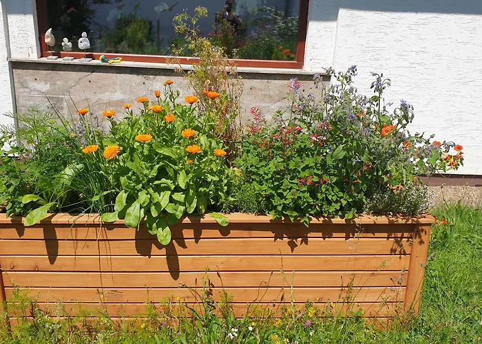 Exklusive - Direkt Am Waldrand - Grosser Garten Kompett Umzaeunt - Hunde Willkommen - 2 Private Stellplaetze Bad Salzschlirf