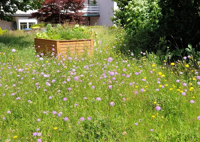 Exklusive - Direkt Am Waldrand - Grosser Garten Kompett Umzaeunt - Hunde Willkommen - 2 Private Stellplaetze Apartment Bad Salzschlirf