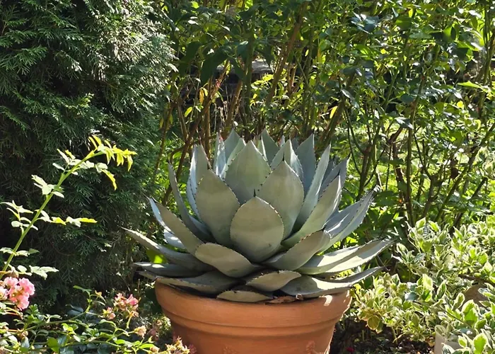 Exklusive - Direkt Am Waldrand - Grosser Garten Kompett Umzaeunt - Hunde Willkommen - 2 Private Stellplaetze Apartment