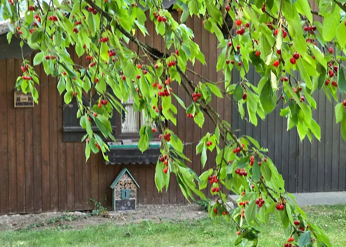 Apartment Exklusive - Direkt Am Waldrand - Grosser Garten Kompett Umzaeunt - Hunde Willkommen - 2 Private Stellplaetze Bad Salzschlirf