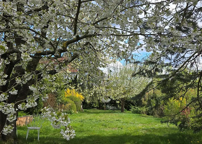 Apartment Exklusive - Direkt Am Waldrand - Grosser Garten Kompett Umzaeunt - Hunde Willkommen - 2 Private Stellplaetze Bad Salzschlirf