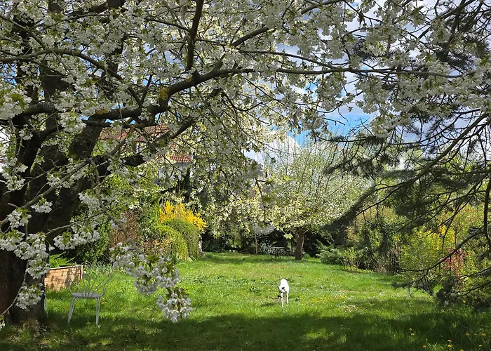 Exklusive - Direkt Am Waldrand - Grosser Garten Kompett Umzaeunt - Hunde Willkommen - 2 Private Stellplaetze * Bad Salzschlirf