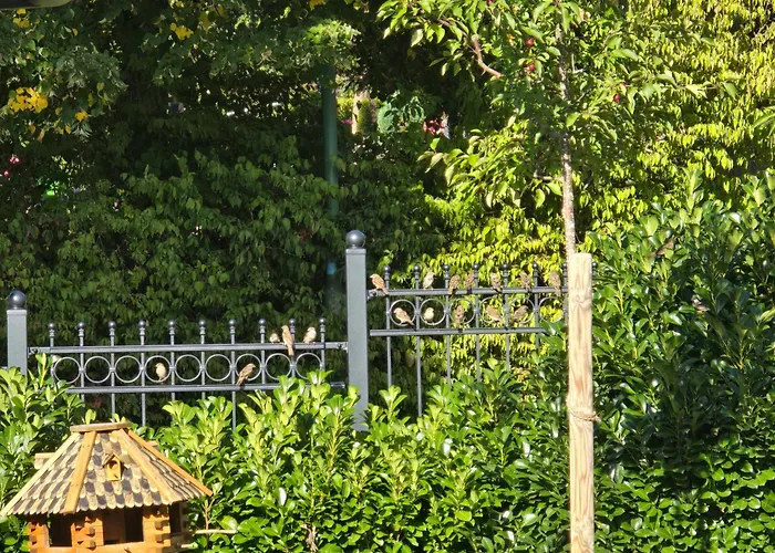 Exklusive - Direkt Am Waldrand - Grosser Garten Kompett Umzaeunt - Hunde Willkommen - 2 Private Stellplaetze Apartment Bad Salzschlirf