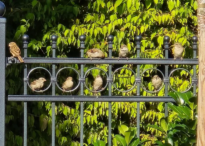 Apartment Exklusive - Direkt Am Waldrand - Grosser Garten Kompett Umzaeunt - Hunde Willkommen - 2 Private Stellplaetze *