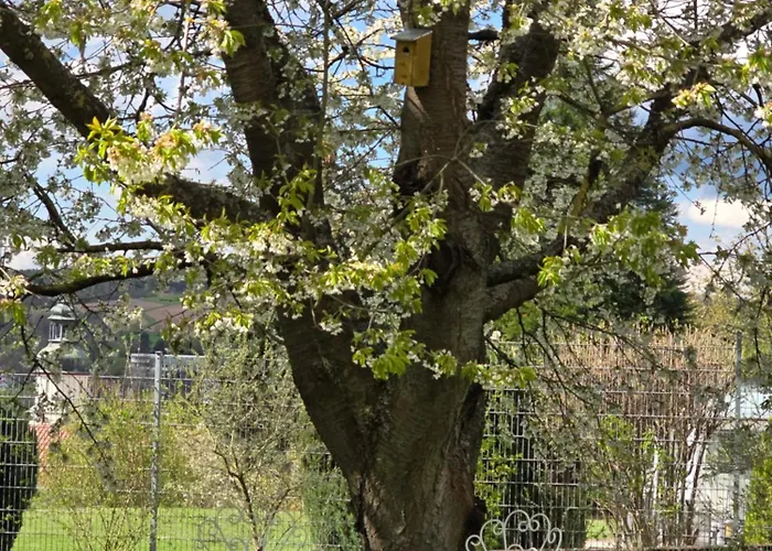 Apartment Exklusive - Direkt Am Waldrand - Grosser Garten Kompett Umzaeunt - Hunde Willkommen - 2 Private Stellplaetze