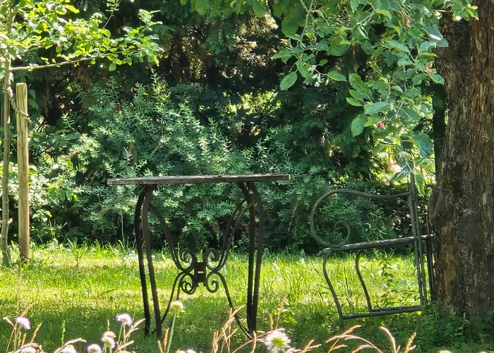 Apartment Exklusive - Direkt Am Waldrand - Grosser Garten Kompett Umzaeunt - Hunde Willkommen - 2 Private Stellplaetze Bad Salzschlirf