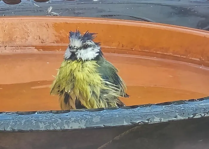 Apartment Exklusive - Direkt Am Waldrand - Grosser Garten Kompett Umzaeunt - Hunde Willkommen - 2 Private Stellplaetze