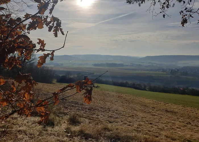 Exklusive - Direkt Am Waldrand - Grosser Garten Kompett Umzaeunt - Hunde Willkommen - 2 Private Stellplaetze Apartment Bad Salzschlirf