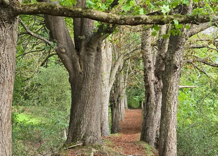 Apartment Exklusive - Direkt Am Waldrand - Grosser Garten Kompett Umzaeunt - Hunde Willkommen - 2 Private Stellplaetze