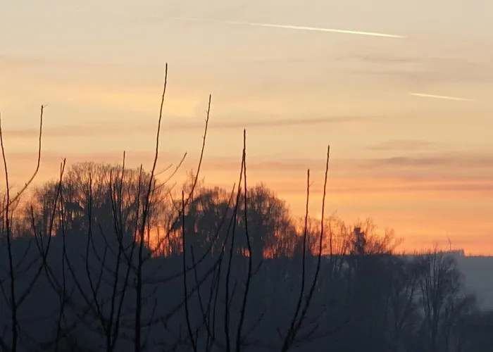 Apartment Exklusive - Direkt Am Waldrand - Grosser Garten Kompett Umzaeunt - Hunde Willkommen - 2 Private Stellplaetze *