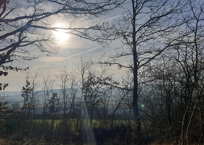 Apartment Exklusive - Direkt Am Waldrand - Grosser Garten Kompett Umzaeunt - Hunde Willkommen - 2 Private Stellplaetze