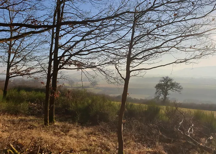 Apartment Exklusive - Direkt Am Waldrand - Grosser Garten Kompett Umzaeunt - Hunde Willkommen - 2 Private Stellplaetze