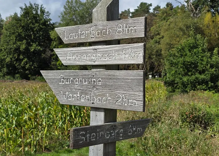 Apartment Exklusive - Direkt Am Waldrand - Grosser Garten Kompett Umzaeunt - Hunde Willkommen - 2 Private Stellplaetze Bad Salzschlirf