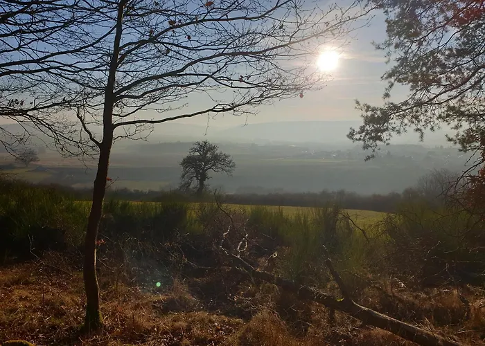 Exklusive - Direkt Am Waldrand - Grosser Garten Kompett Umzaeunt - Hunde Willkommen - 2 Private Stellplaetze Apartment Bad Salzschlirf